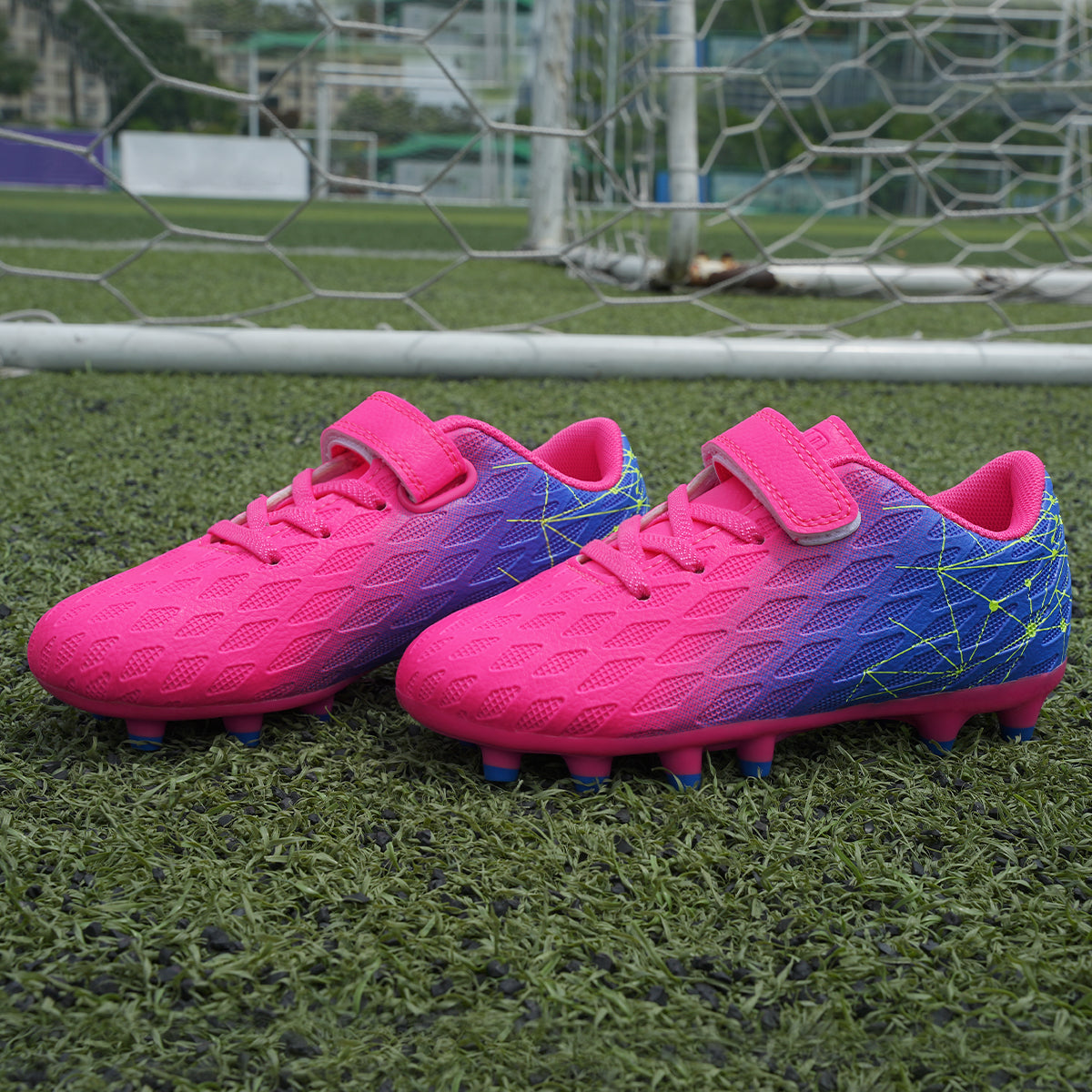 Fuchsia Purple